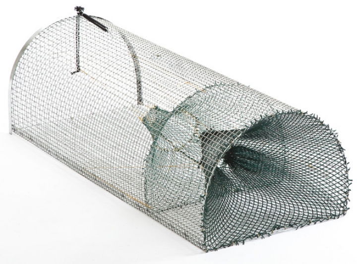 Fish trap with single inlet