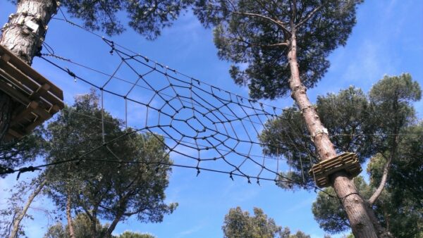 Spinnennetz aus Polyesterseil