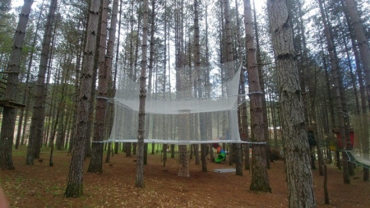 Suspended cube net
