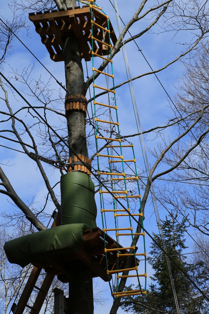 Climbing ladder for platforms