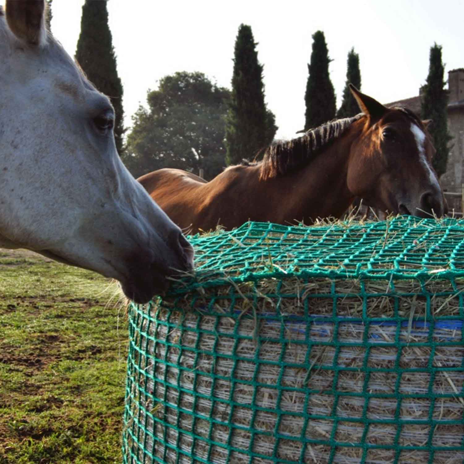 Des filets à foin pour les chevaux