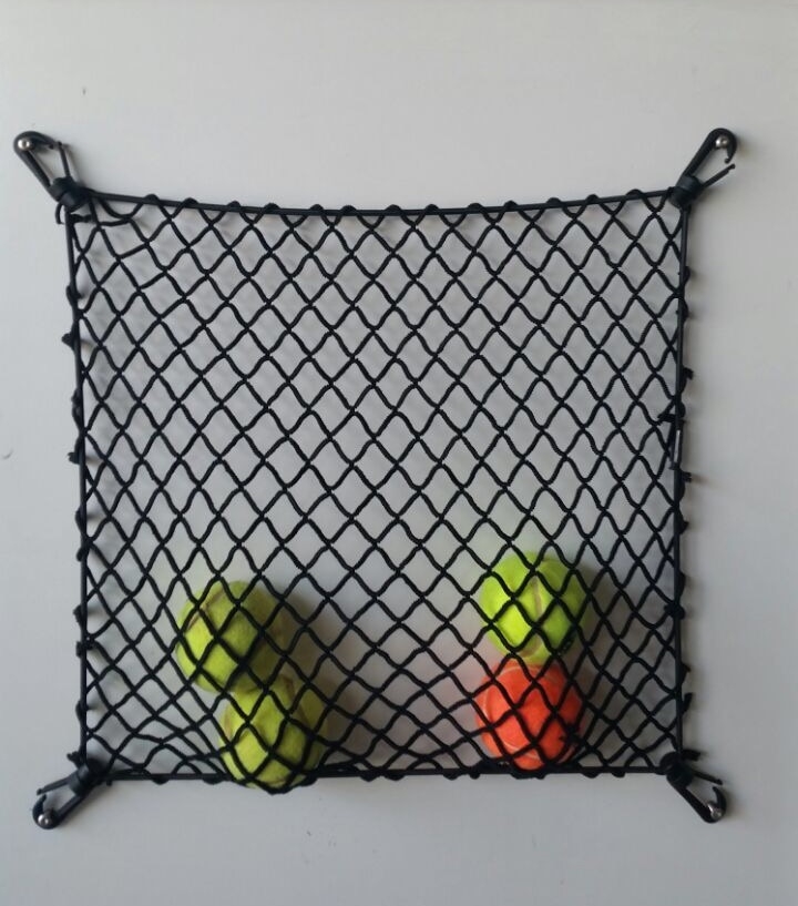 Elastic net