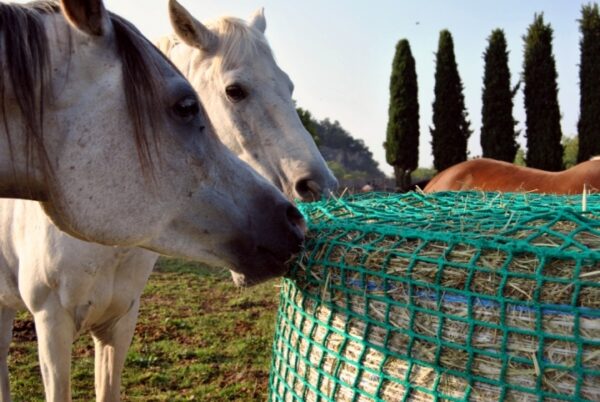 Round bale slow feeder hay net