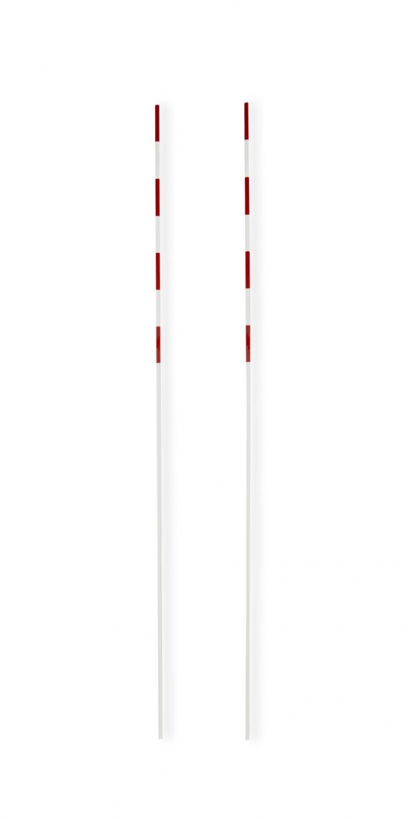 Antenne per reti da pallavolo