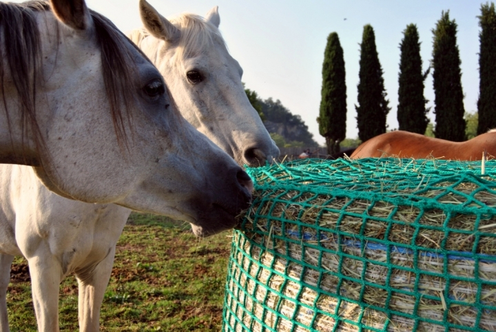 (+) Round bale slow feeder hay net