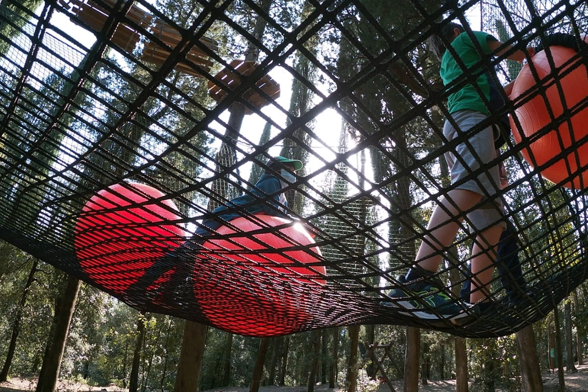 Hanging cube net